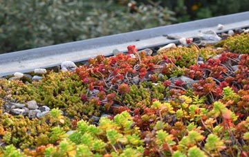 the cost of Whitacre Heath green roof installation