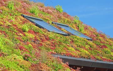 Whitacre Heath living roof systems
